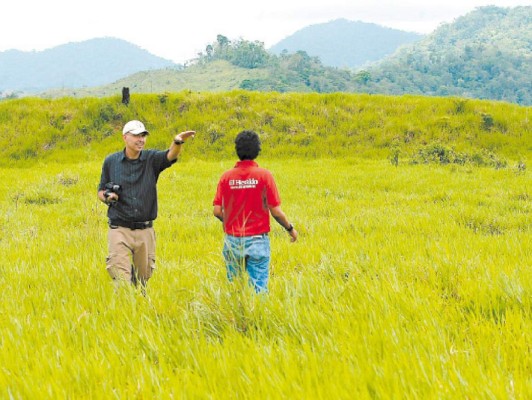George Clooney quiere filmar Indiana Jones en Honduras