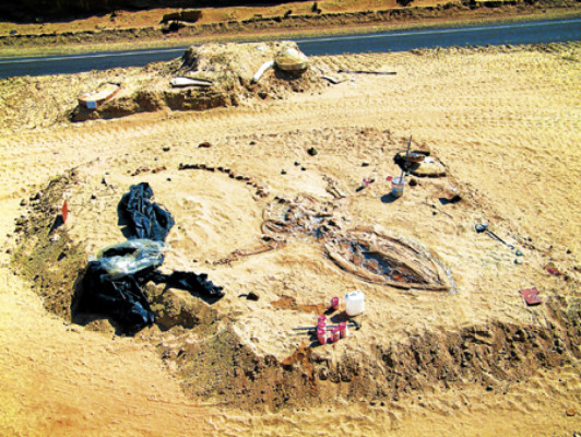 Misterio para la ciencia