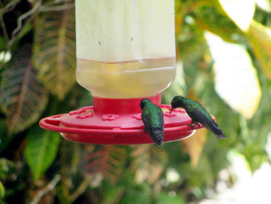 EL HERALDO te premia en el Día de la Tierra