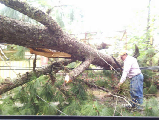 Fuertes vientos provocan daños en varias zonas de Honduras