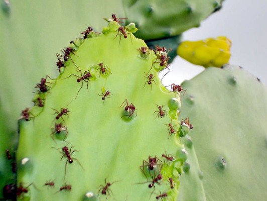 EL HERALDO te premia en el Día de la Tierra