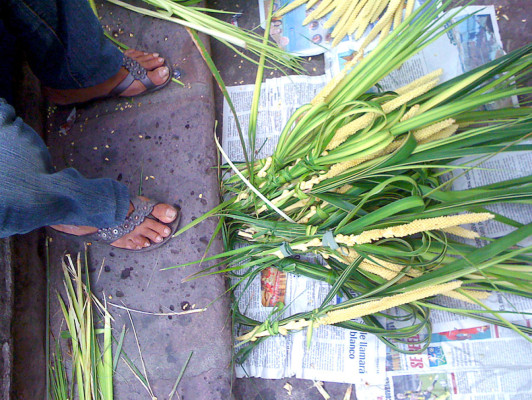 Inicia venta de ramos en Tegucigalpa