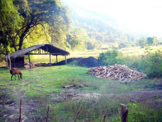 EL HERALDO te premia en el Día de la Tierra