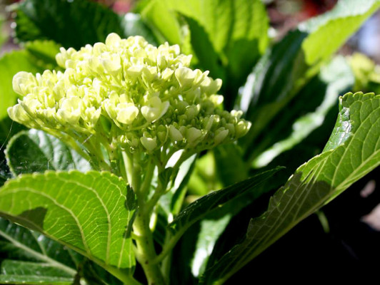 EL HERALDO te premia en el Día de la Tierra