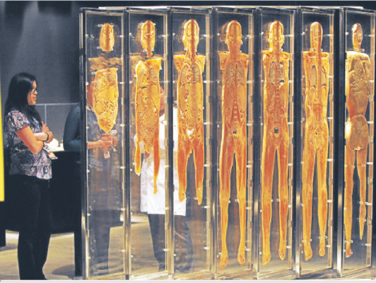 Our body, una radiografía del cuerpo humano