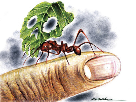 Un caso del doctor Cruz