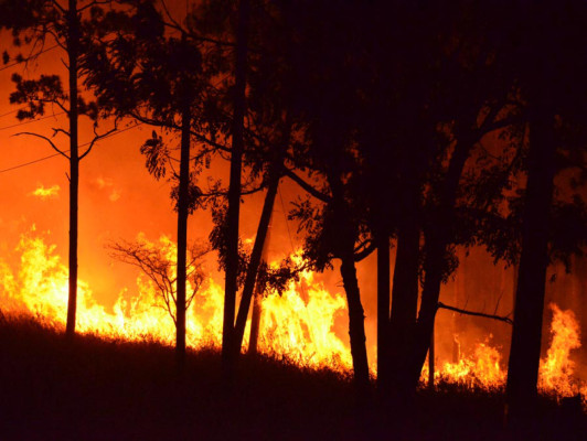 Incendios podrían reducir aún más el suministro de agua en Tegucigalpa