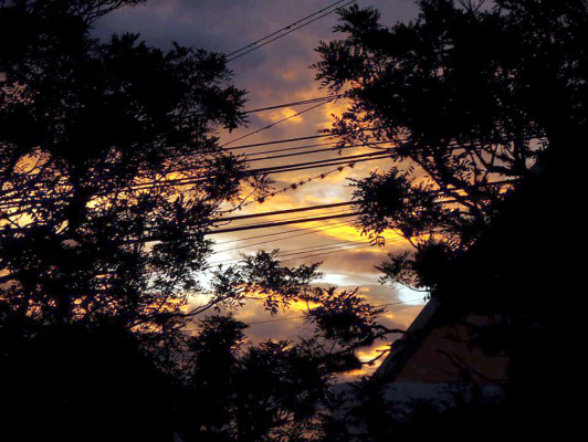 EL HERALDO te premia en el Día de la Tierra