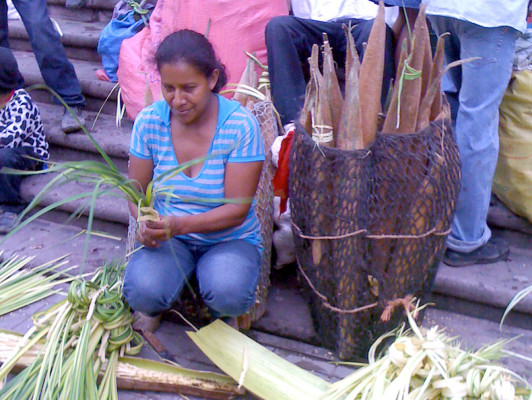 Inicia venta de ramos en Tegucigalpa