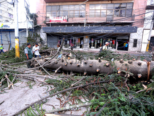 Los estragos que dejó la tormenta en Tegucigalpa y Comayagüela