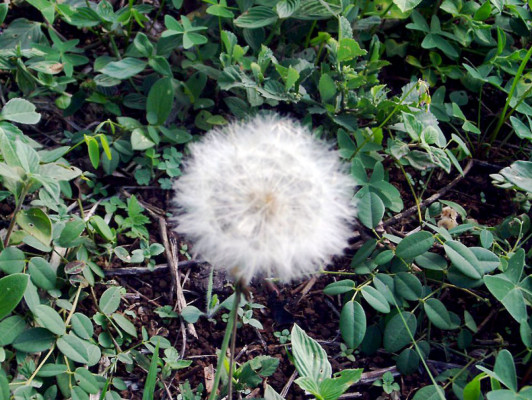 EL HERALDO te premia en el Día de la Tierra