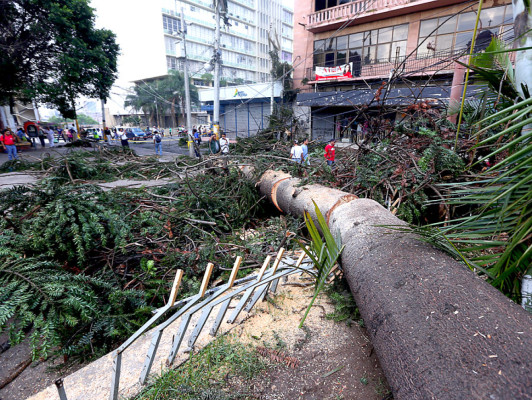 Los estragos que dejó la tormenta en Tegucigalpa y Comayagüela