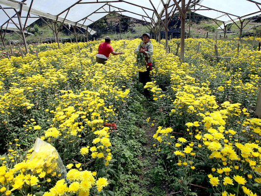 La naturaleza que inspiró a Siguatepeque