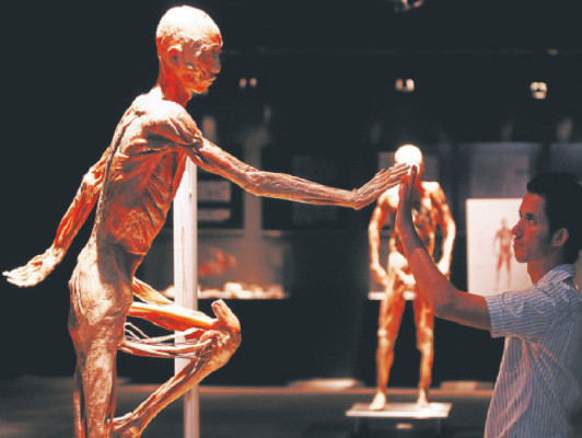 Our body, una radiografía del cuerpo humano