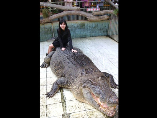 Imágenes extrañas de internet