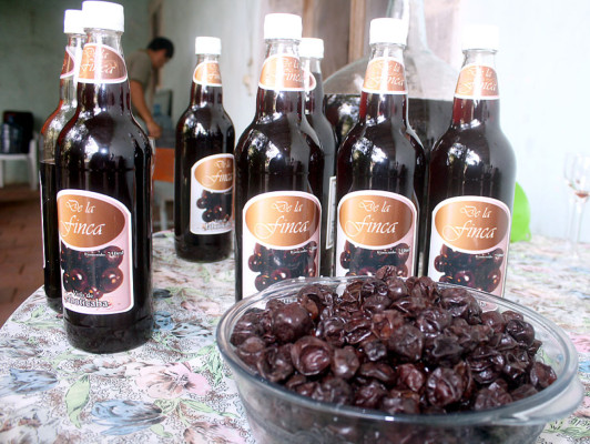 FOTOS: Bebidas irresistibles que nacen en las colinas de Danlí