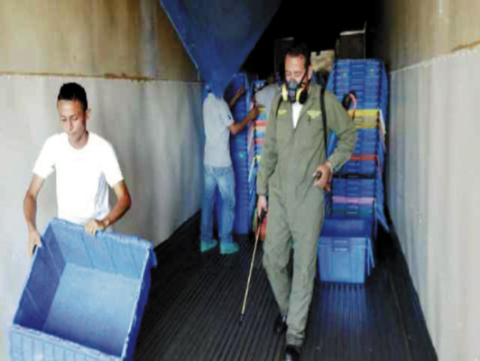 Andah pide suspender importación de camarón fresco de México