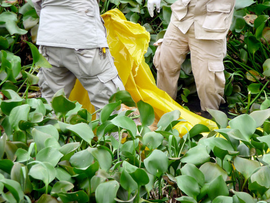 Encuentran cadáver que sería del periodista hondureño Aníbal Barrow