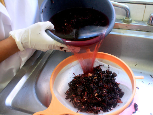 FOTOS: Bebidas irresistibles que nacen en las colinas de Danlí