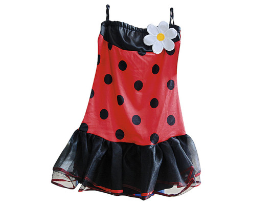 Noche de fantasía y espantos