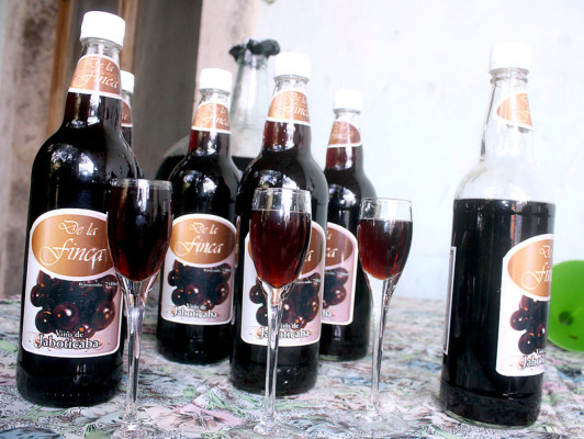 FOTOS: Bebidas irresistibles que nacen en las colinas de Danlí