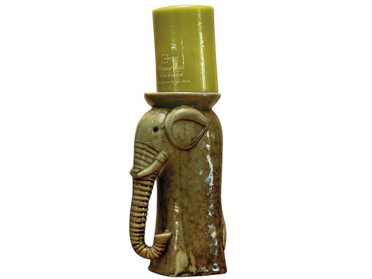 Atraiga la abundancia a casa