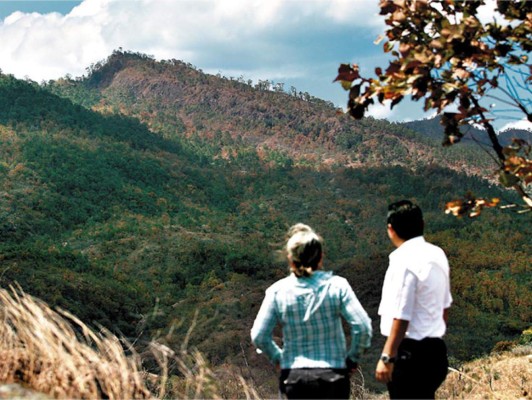 Tras escándalo, César Ham obligado a devolver terreno al INA