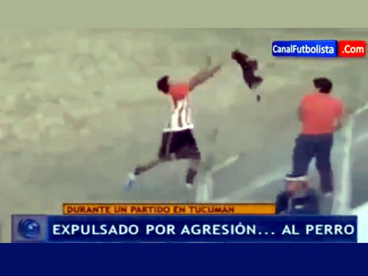 Fuera por lanzar perro