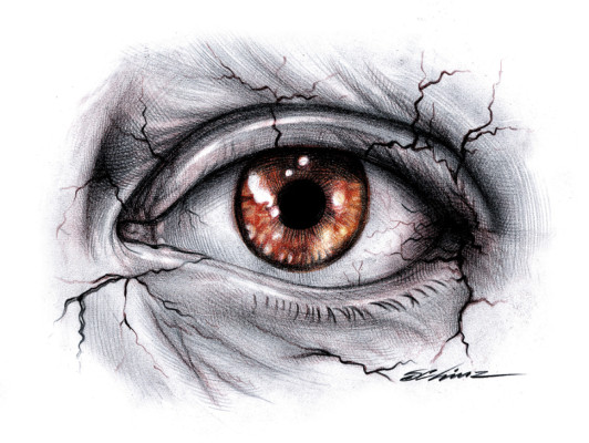 El secreto de la viuda negra