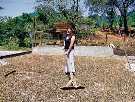 Cooperativas y cajas rurales impulsan el comercio y la agricultura