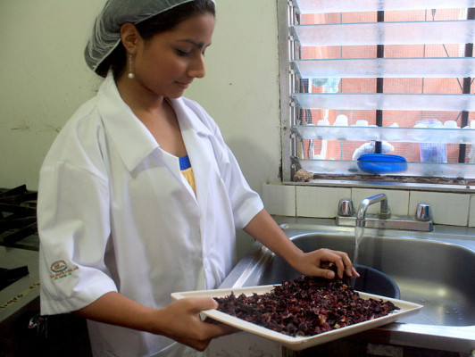 FOTOS: Bebidas irresistibles que nacen en las colinas de Danlí