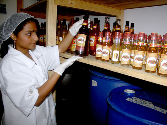 FOTOS: Bebidas irresistibles que nacen en las colinas de Danlí