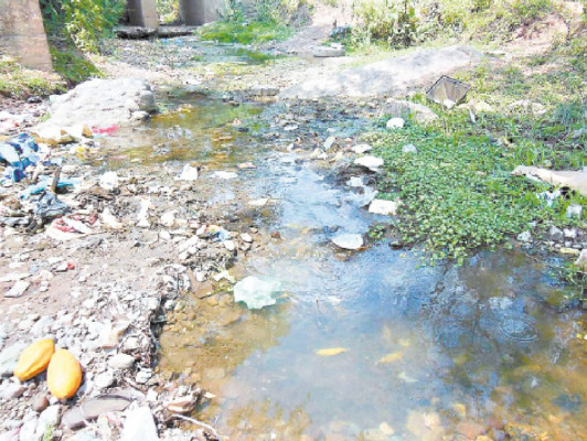 Masiva campaña contra mosquito del dengue