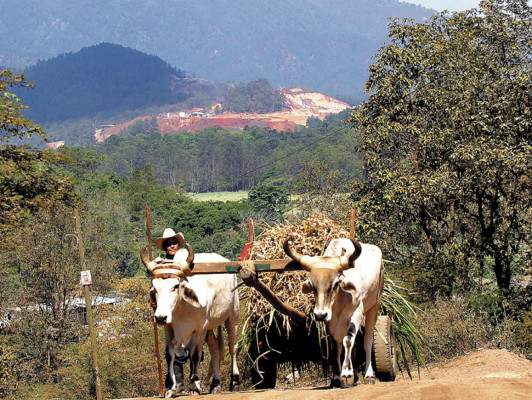 Fiebre del hierro daña ambiente de la aldea Agalteca, Cedros
