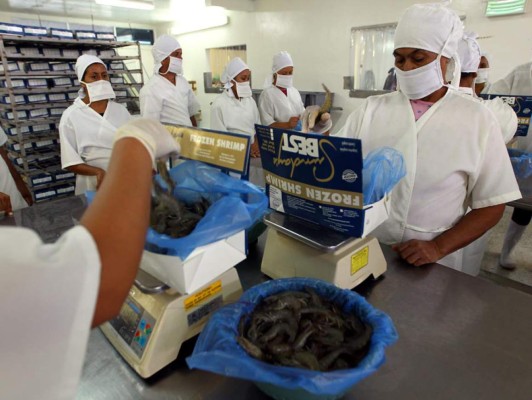 TSC alista reparos en Hondufarms-Ibermar