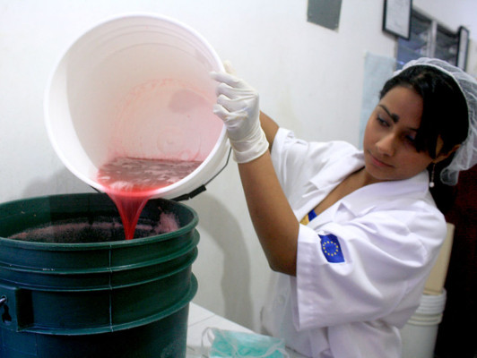 FOTOS: Bebidas irresistibles que nacen en las colinas de Danlí