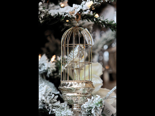 Eche a volar su imaginación…