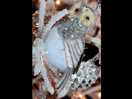 Eche a volar su imaginación…