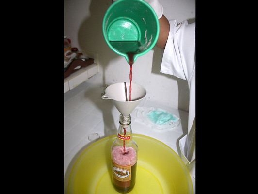 FOTOS: Bebidas irresistibles que nacen en las colinas de Danlí