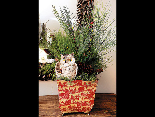 Eche a volar su imaginación…