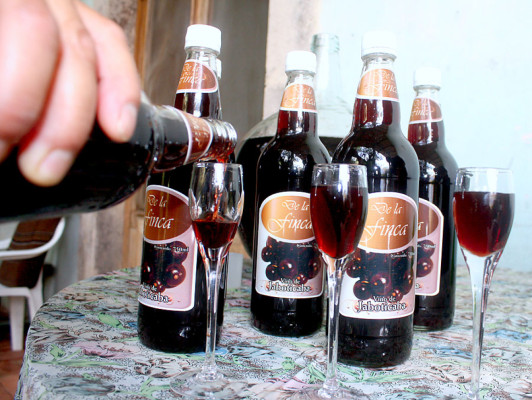 FOTOS: Bebidas irresistibles que nacen en las colinas de Danlí