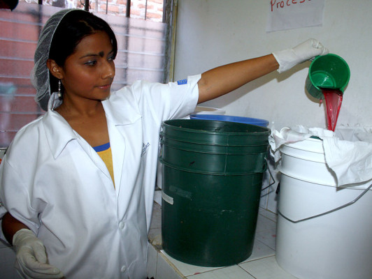 FOTOS: Bebidas irresistibles que nacen en las colinas de Danlí
