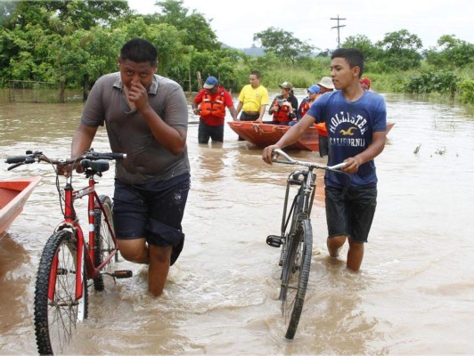 Honduras: Advierten riesgo de leptospirosis por lluvias