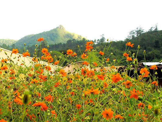 Fotos: Paisajes de inigualable belleza