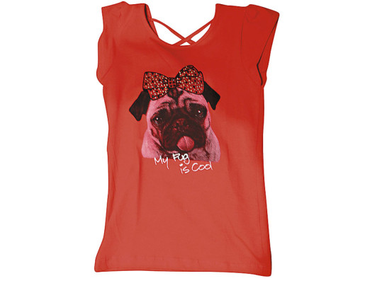 Animales al descubierto