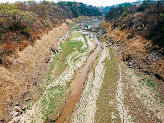 Devastación de cuencas ya pasa factura a Tegucigalpa