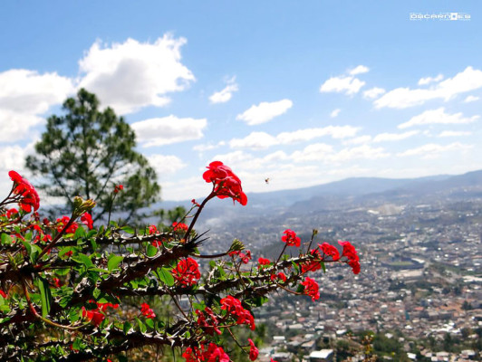 Fotos de los lectores para el Día de la Tierra