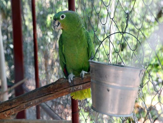 Descanso y diversión en un solo lugar