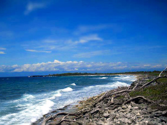 Fotos de los lectores para el Día de la Tierra