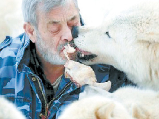 Hombre vive con 25 lobos y los alimenta con su boca